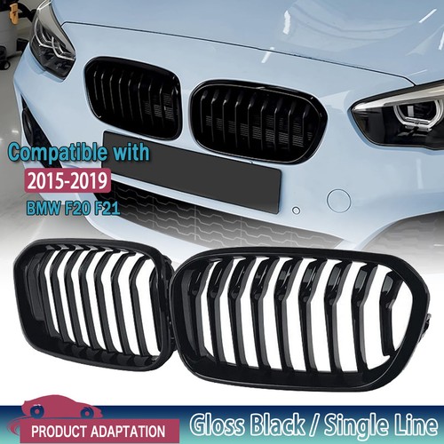 Pair front kidney - pair, grille