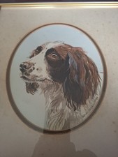 Painting Of A Springer Spaniel by Kevin Daykin