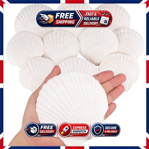 10pcs natural white - 10pcs, sea