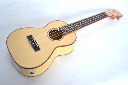Stock concert uke electro - concert,