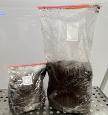 Pasteurised CVG Mushroom Bulk Substrate. Coco coir, vermiculite and Gypsum.