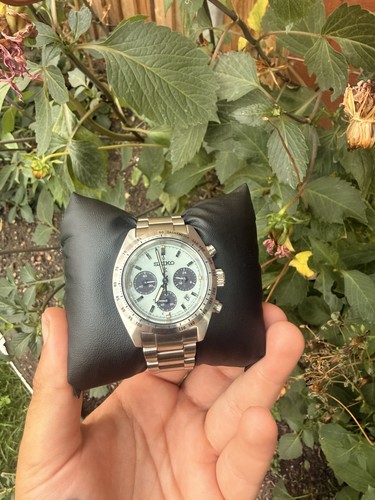 Seiko prospex ssc965 mint - prospex,
