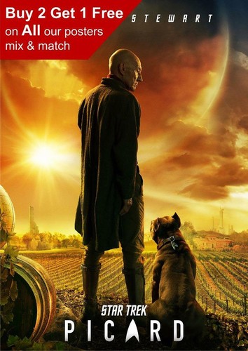 Star trek picard series poster - picard,