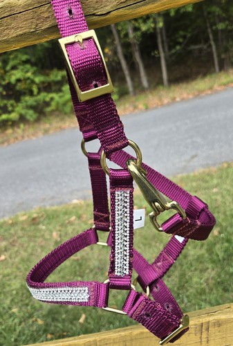 Miniature horse nylon bling - miniature,