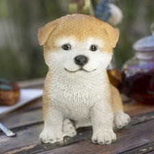 SoReal Brown Akita |