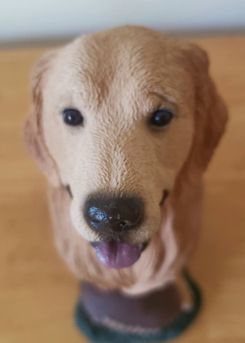 Living stone yellow lab - living,