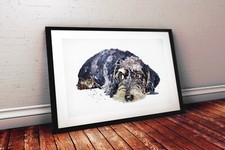 Wirehaired Dachshund 3 - Wirehaired Doxie Wall Decor,Wirehaired Doxie Art Print