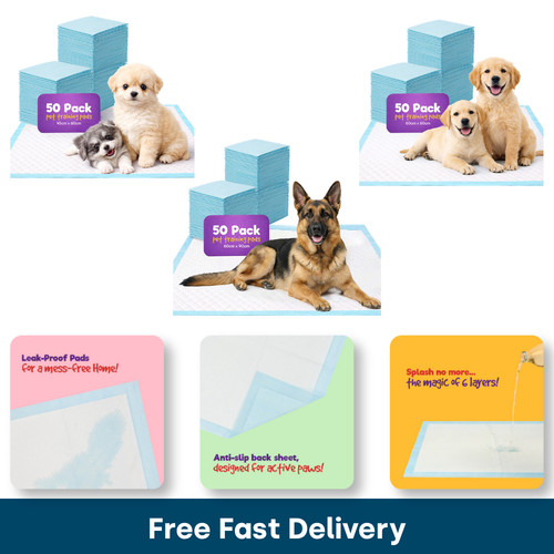 Petlicity puppy training - puppy,
