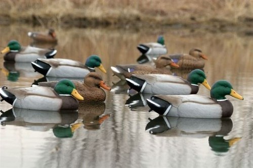 Duck decoys set - 6,