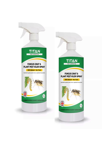 Plant bug killer natural - bug,