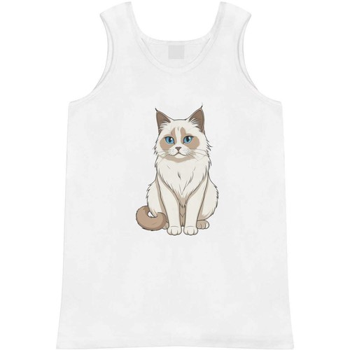 Birman cat adult - /, tank