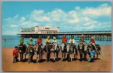 WESTON-SUPER-MARE Donkeys