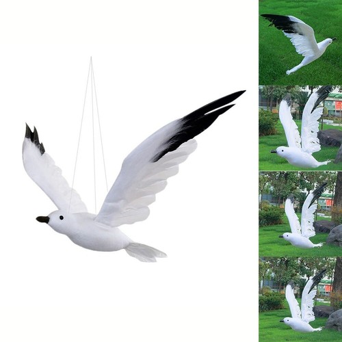 Lifelike feather seagull bird - feather,