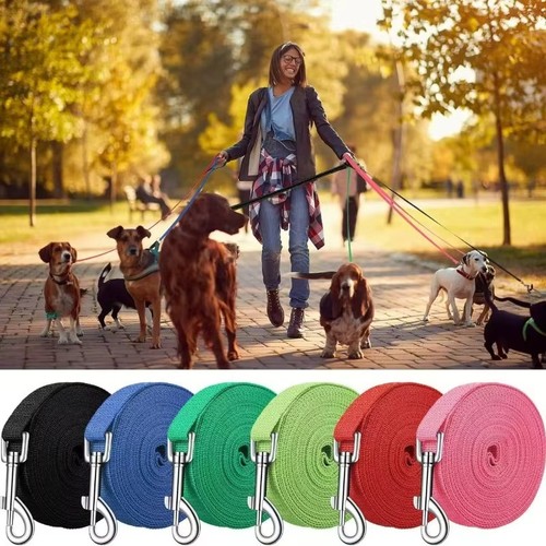 Dog training lead 3ft - lead,