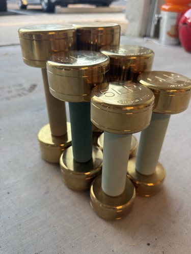 Blogilates gold dumbbell set - gold,