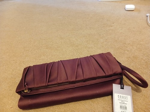 Coast lucy pleat clutch bag - lucy,