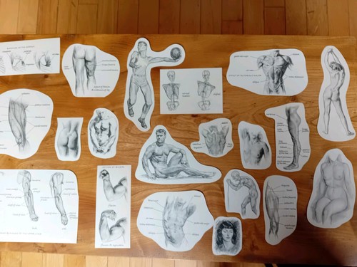 Vintage human body anatomy - vintage,