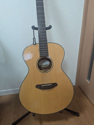 Breedlove discovery concert - breedlove,