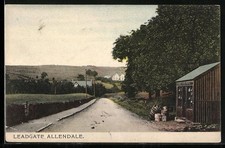 Postcard Allendale, Leadgate, Street Lot 