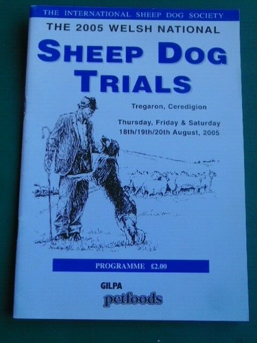 Welsh national sheep dog - sheep,