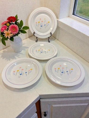 Arcopal plate glass dinner - plate,