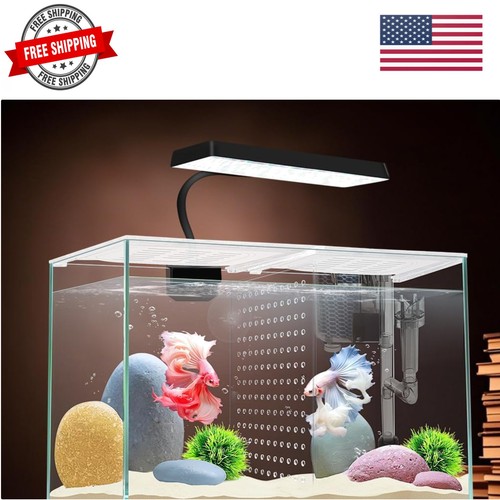 Gallon l fish - 3, nano