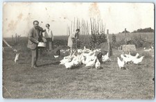 Chickens Being Fed Poultry Farming Garden Small Holding RP Postcard 1920s 