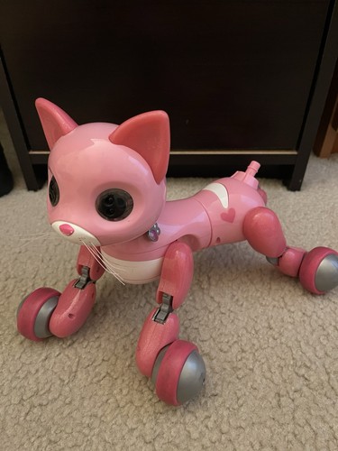 Spin master pink - master,