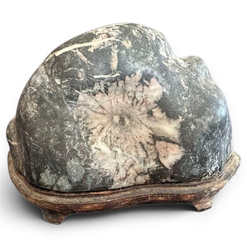 Suiseki flower landscape stone - landscape,