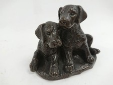 Bronze effect labrador puppies - bronze,