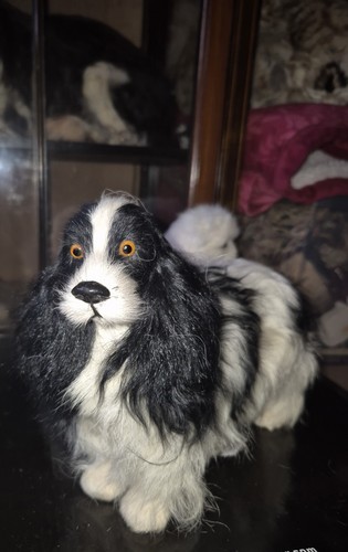 Faux taxidermy dog spaniel - faux,