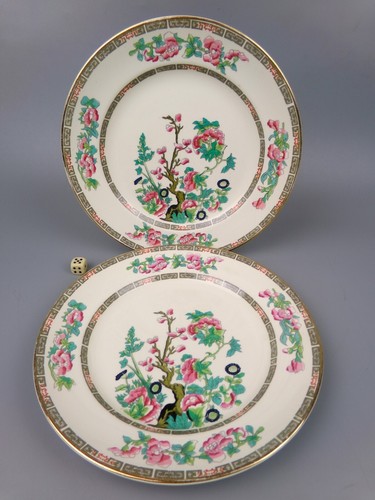 Indian tree dinner - indian, plates.