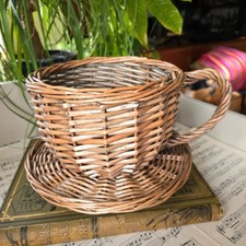 Vintage wicker planter plant