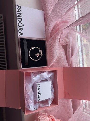 Pandora bracelet and charms - pandora,