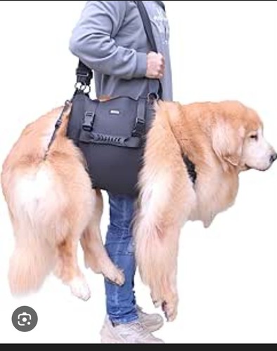 Dog carry sling emergency - carry,