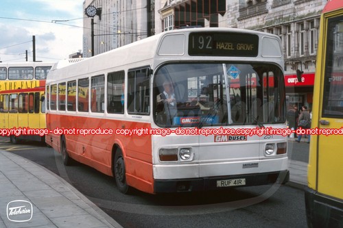 Bus photo buses - photo, 251