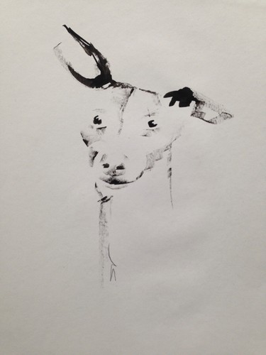 Original signed ink sketch - ink, of