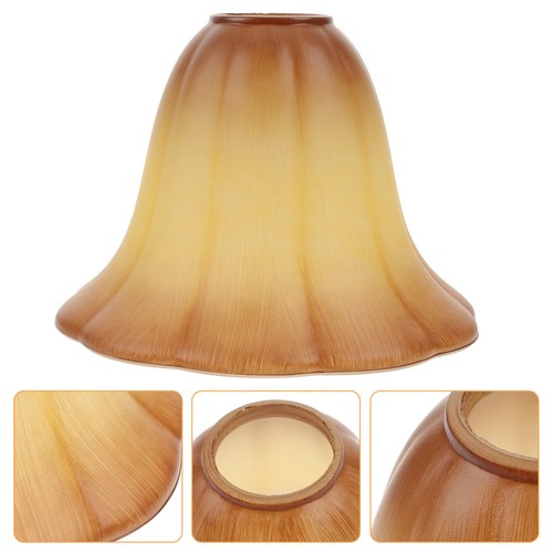 Replacement light globes - globes, glass