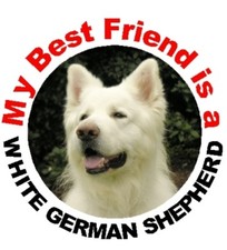 2 White German Shepherd Dog