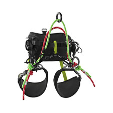 Treerex tree climbing - ii,
