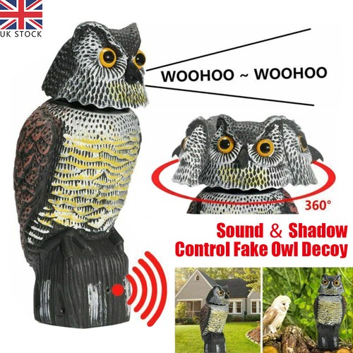 Realistic owl decoy deterrent - realistic,