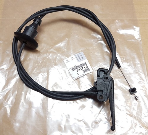 Bonnet release cable for - bonnet,