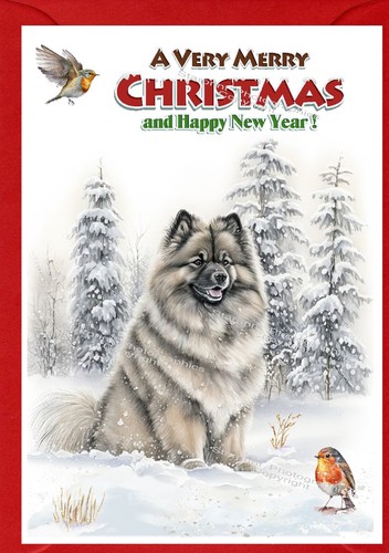 Keeshond dog christmas - keeshond,