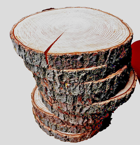 Rustic wedding wooden - rustic,