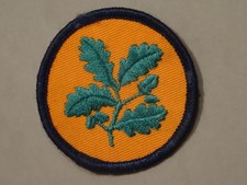 National Trust Cloth Badge {Orange}