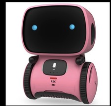 Smart Interactive Robot For