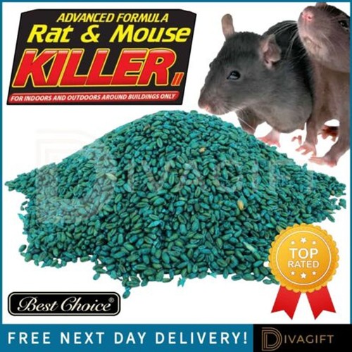 Rat mouse poison - rat,