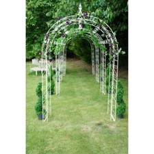 Black Willow Winds Single Rose