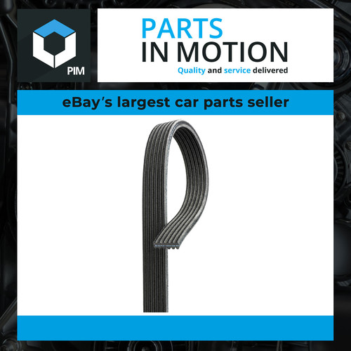 Rib multi drive - 6,