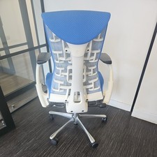 Authentic Herman Miller Embody Blue